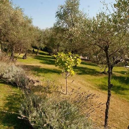 Casa Daisy San Lorenzo della Costa